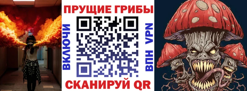 Псилоцибиновые грибы Psilocybine cubensis  мега tor  Ярославль 